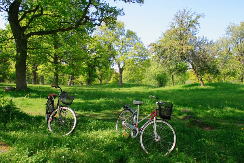 Green community park with walking paths representing Braem Park